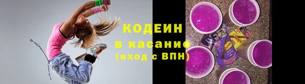 гидра Покачи