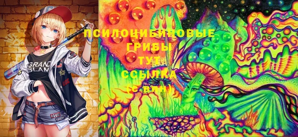 Альфа ПВП Белокуриха
