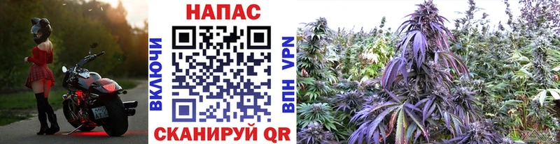 наркотики Рудня гидра как зайти Шишки марихуана гибрид